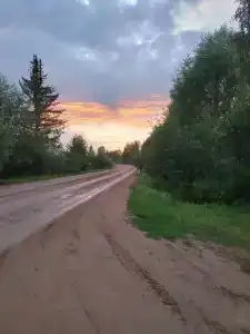 Живица - 35
