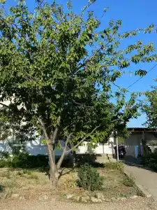 Аль-раян - 6