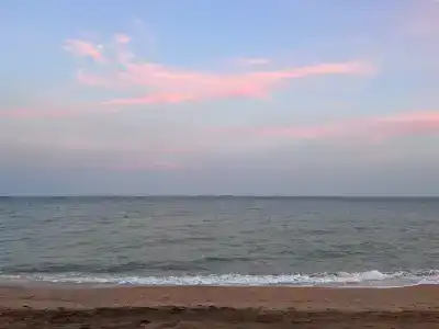 Жемчужный - 48