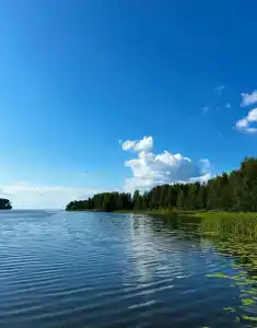 Куртюга - 2