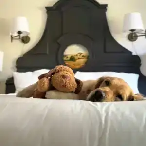 Ibis Istanbul West - 18