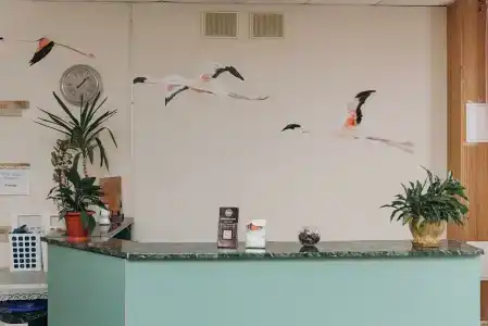 Фламинго - 52