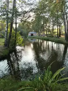 Берлога в Медвежьих Озерах - 71