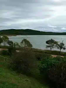 Воевода - 26