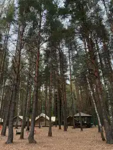 Терра Ностра Кэмп - 85