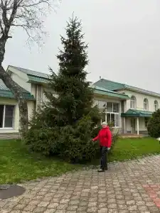 Росинка - 20