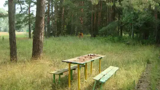Ласточка - 11
