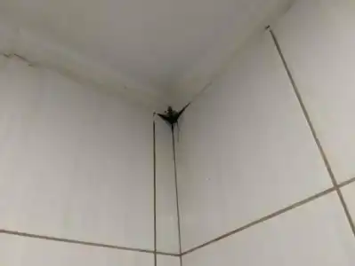 Easy Stay. No Problem - 74