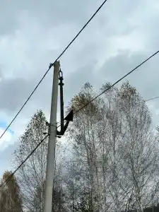Прилесье - 43