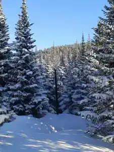 Хамар-Дабан - 13