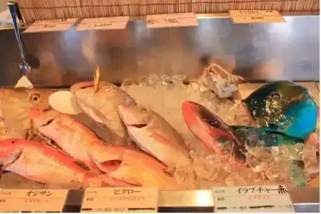 Kanehide Kise Beach Palace - 27