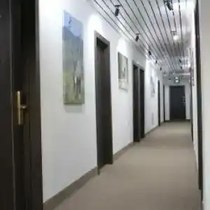 Тундра - 32