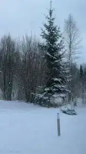 в деревне - 40