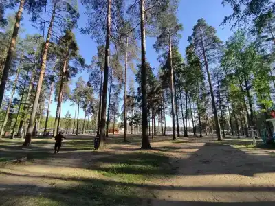 Беседки на Коркинском озере - 11