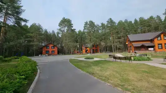 Аврора - 65