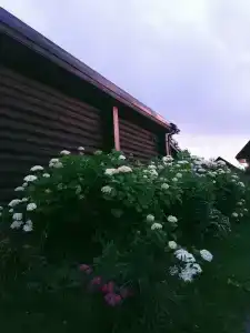 Суздальский Дворик - 56