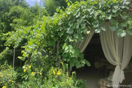 Гостевой дом у Кедра - 30