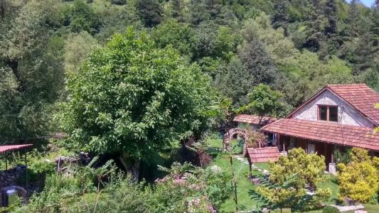 Eco Garden - 18