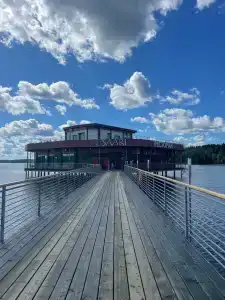 Черные камни - 62