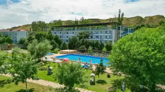 Электра Холидей - 60