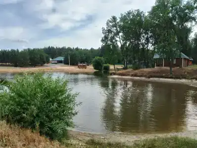 Дубрава - 0