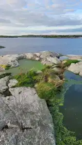 Воронов Форпост - 22