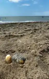 Солёное Озеро - 40