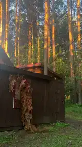 Канада - 80