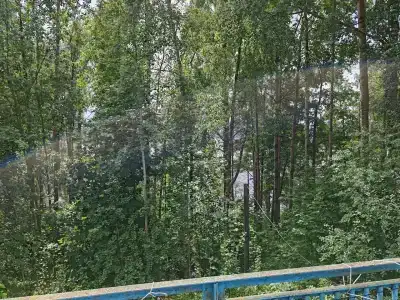 Парус - 79