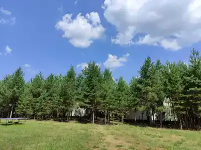 Пчелинцево - 83