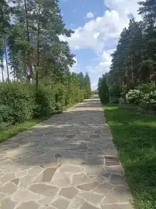 Лесная сказка - 35