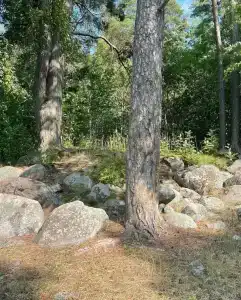 Озерная 38 - 14