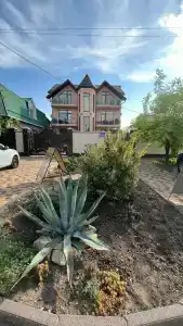Звезда - 46