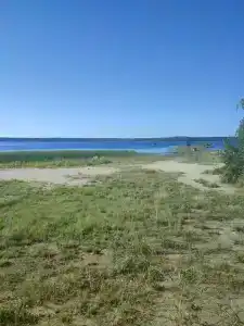 Акуля - 31