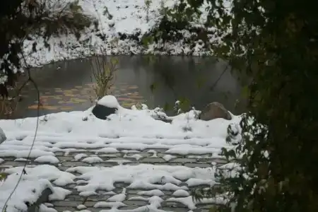 Трактир у Прокопа - 62