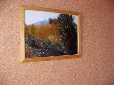 Свирский Пляж - 49