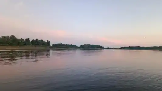 Лес и Рыба - 14