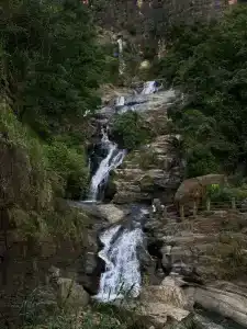 Cinnamon Bey Beruwala - 12