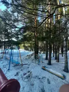 Чайка - 16