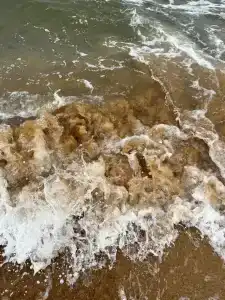 Золотые пески - 20