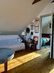 Пенеснарь - 2