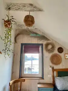 Пенеснарь - 63