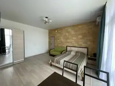 Вариант Омега - 51