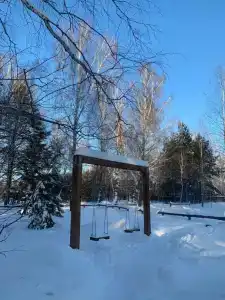 Ветер в соснах - 7