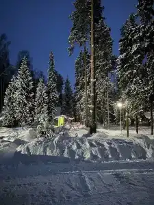 Сосновый берег - 98