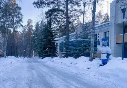 Аленушка - 13