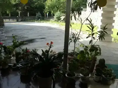 EcoRest - Likani Palace - 30