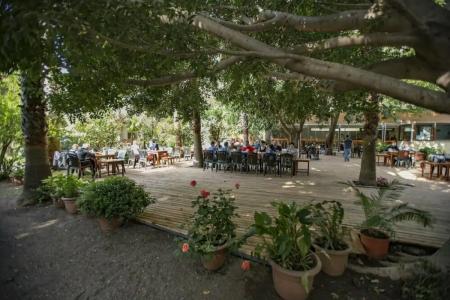 Ayris Çıralı - 35