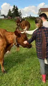 Вечера на Хуторе - 58