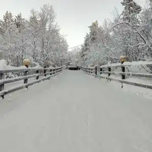 Каравелла - 94